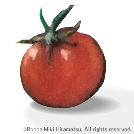 mini tomato illustration by ©Miki Hiramatsu｜あてブ